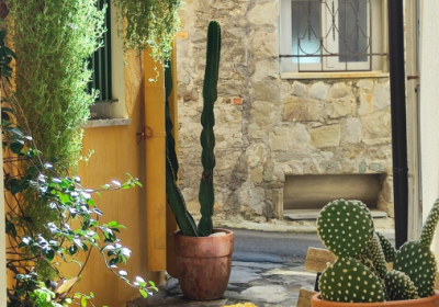 Casa Vacanze Dimora storica Casa Don Michele